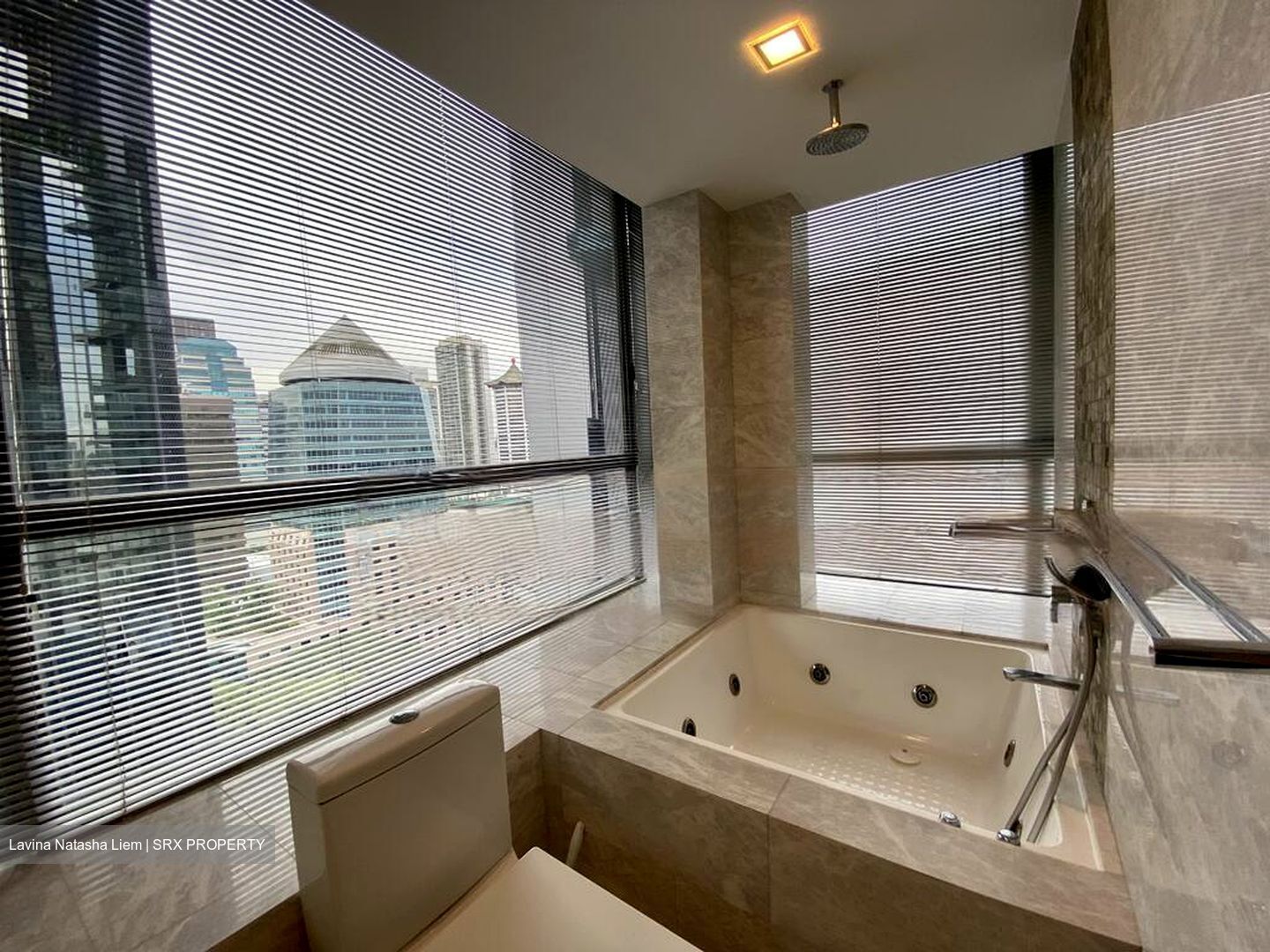 Angullia Park Residences @ Orchard (D10), Apartment #474369531